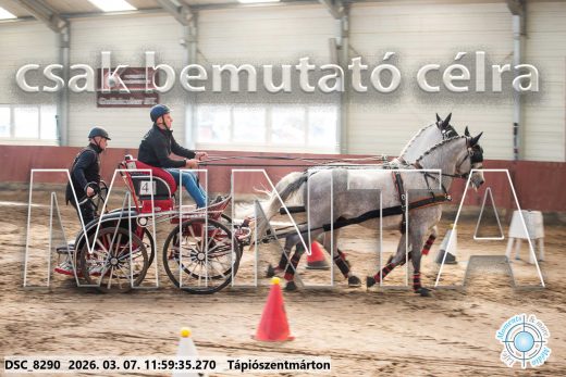 Mintakép 20260307-648