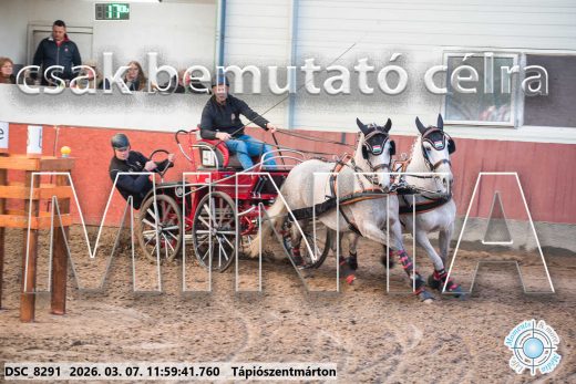 Mintakép 20260307-649