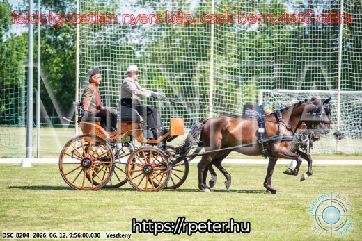 Mintakép 20260612-362
