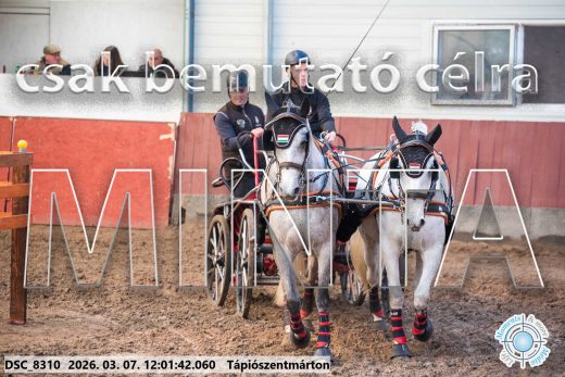 Mintakép 20260307-666