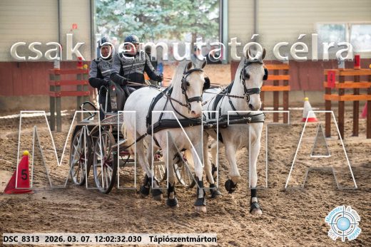 20260307-120232-DSC_8313.jpg
