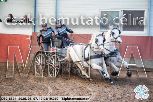 Mintakép 20260307-677