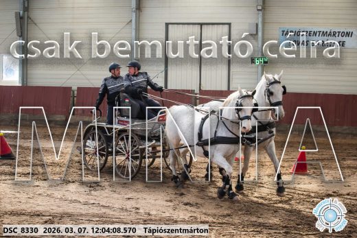 Mintakép 20260307-681
