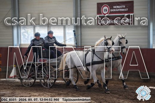 Mintakép 20260307-682