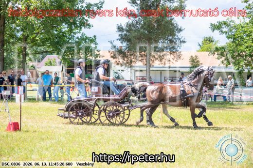 Mintakép 20260613-716