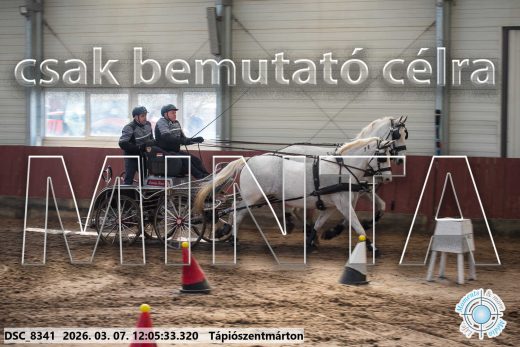 Mintakép 20260307-691