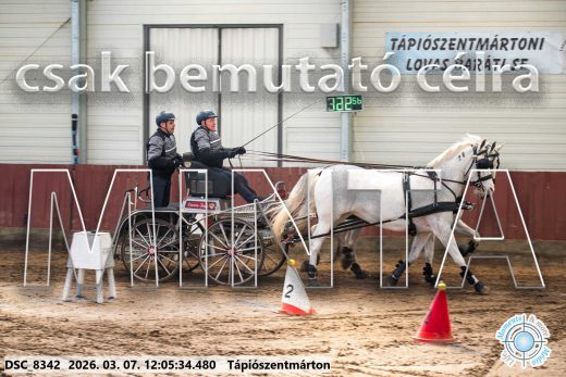 Mintakép 20260307-692