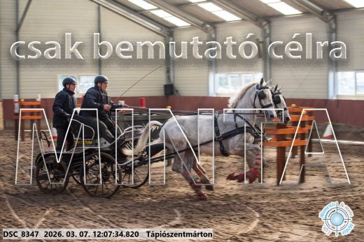 Mintakép 20260307-697