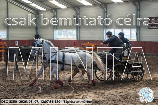 Mintakép 20260307-698