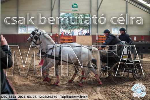 Mintakép 20260307-701