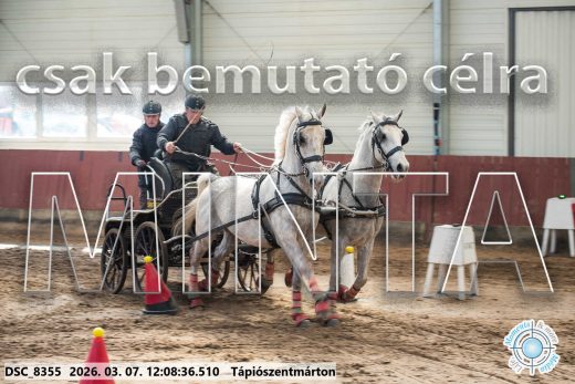 Mintakép 20260307-703