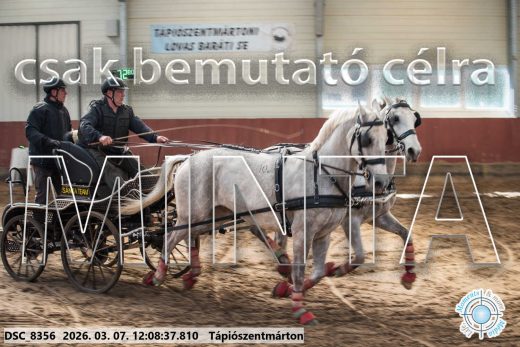 Mintakép 20260307-704