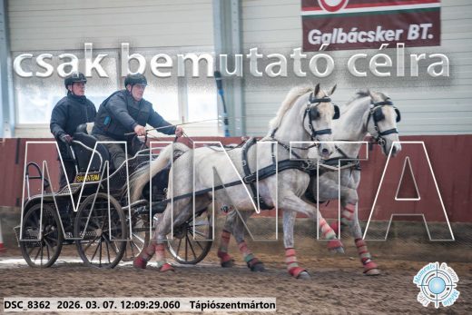 Mintakép 20260307-710