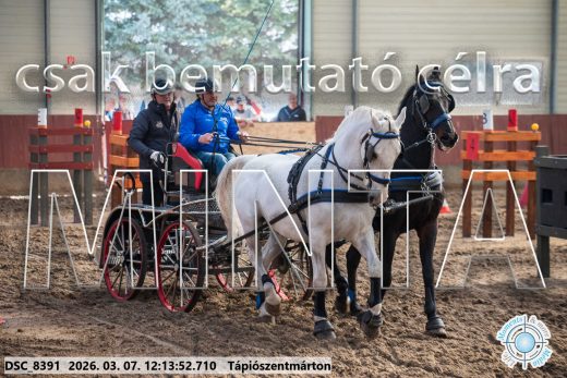 20260307-121352-DSC_8391.jpg
