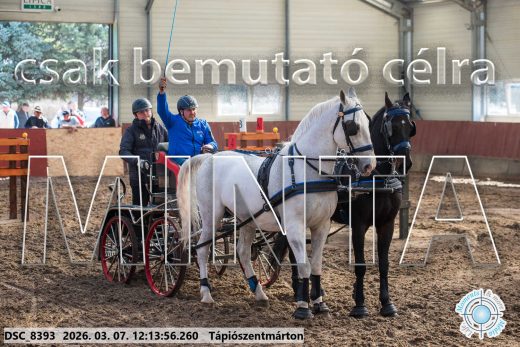 Mintakép 20260307-736