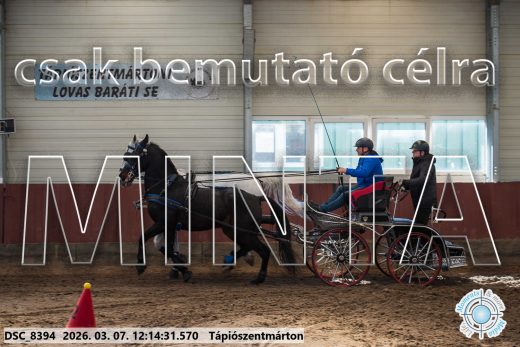 Mintakép 20260307-737