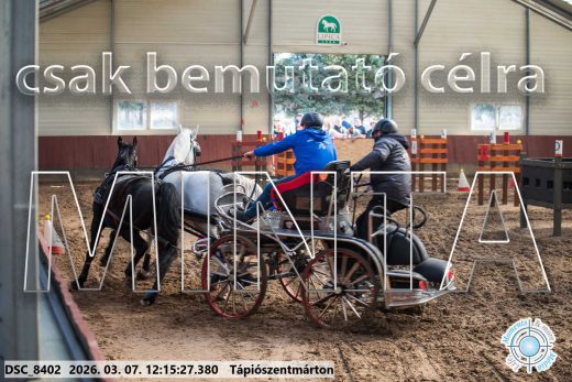 Mintakép 20260307-745