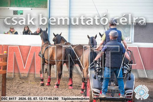 Mintakép 20260307-760