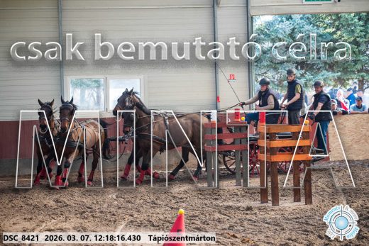 Mintakép 20260307-764