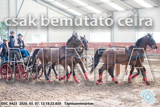 Mintakép 20260307-766