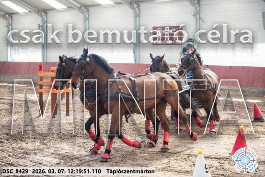 Mintakép 20260307-772