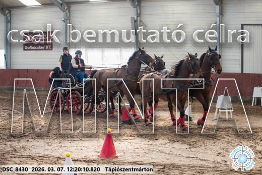 Mintakép 20260307-773