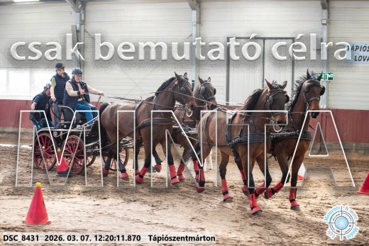 Mintakép 20260307-774