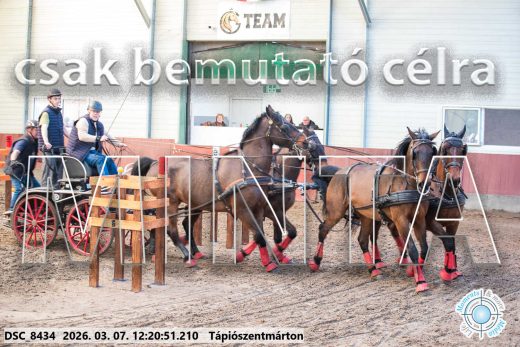Mintakép 20260307-776