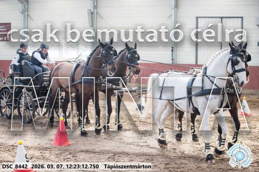 20260307-122312-DSC_8442.jpg