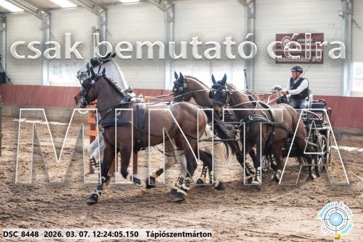 Mintakép 20260307-789