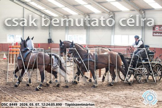 Mintakép 20260307-790