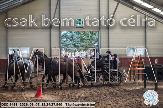 Mintakép 20260307-792
