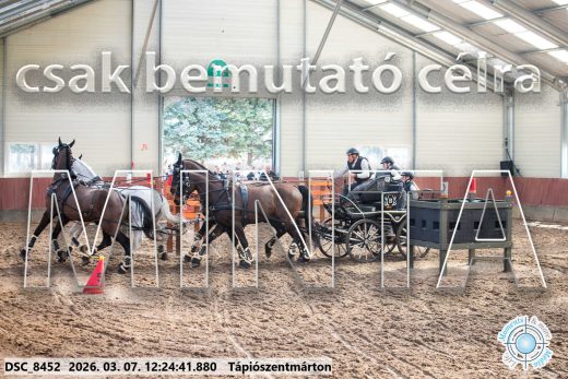 Mintakép 20260307-793