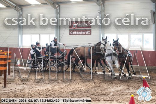 Mintakép 20260307-795