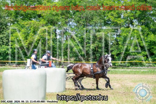 Mintakép 20260613-727