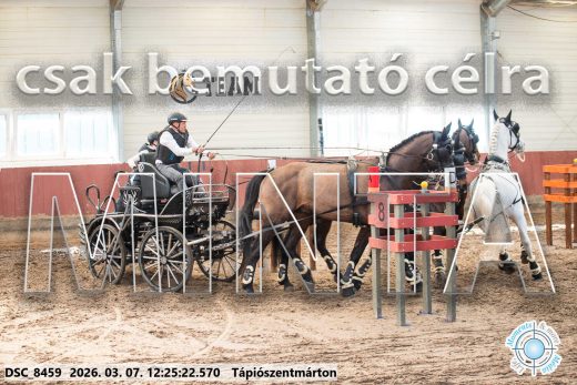 Mintakép 20260307-800