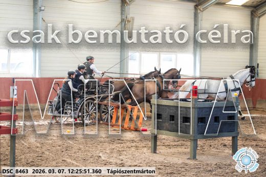 Mintakép 20260307-804