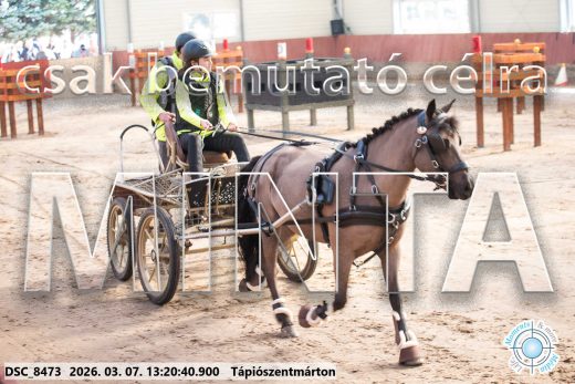 Mintakép 20260307-812