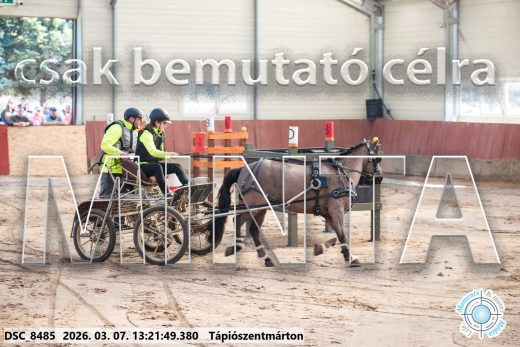 Mintakép 20260307-823