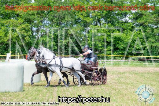 Mintakép 20260613-732