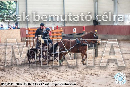 Mintakép 20260307-846