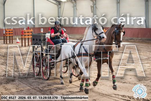 Mintakép 20260307-861