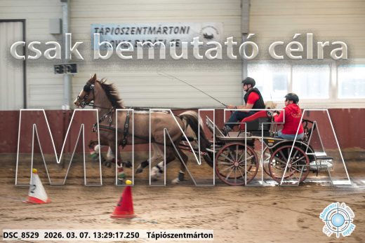 Mintakép 20260307-863