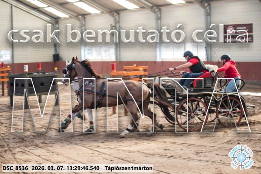 Mintakép 20260307-870