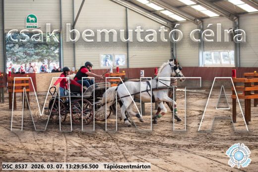 Mintakép 20260307-871