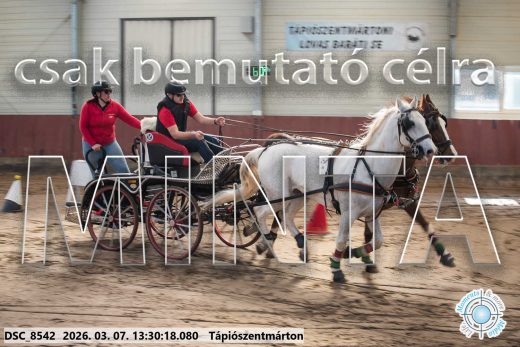 Mintakép 20260307-875