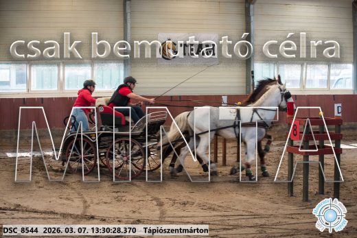 Mintakép 20260307-877