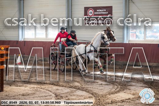 Mintakép 20260307-880
