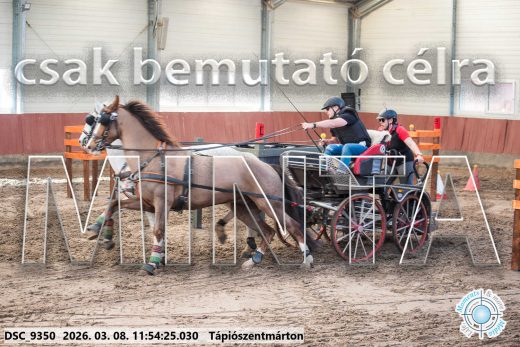 Mintakép 20260308-100