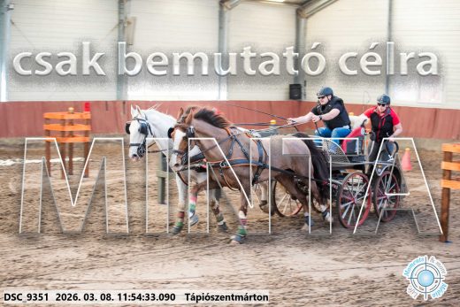 Mintakép 20260308-101